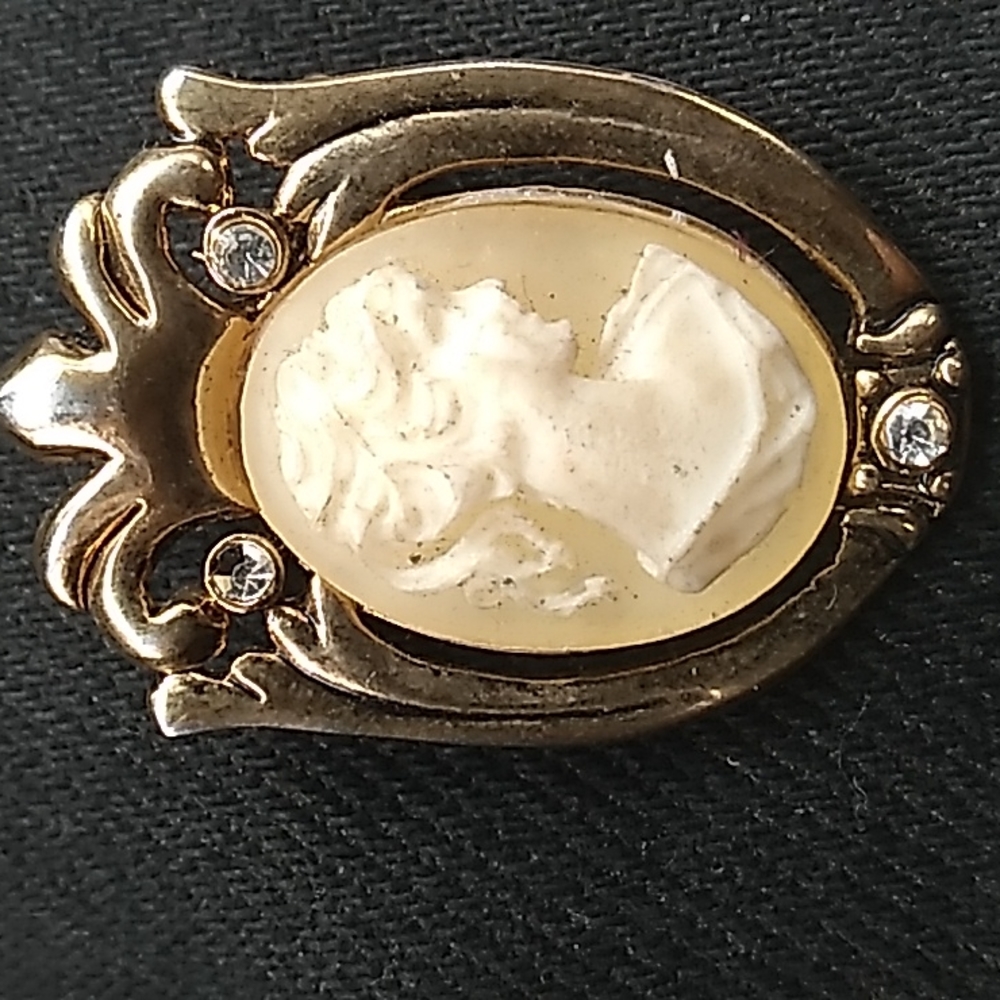 Vintage AAI cameo gold frame broach pin